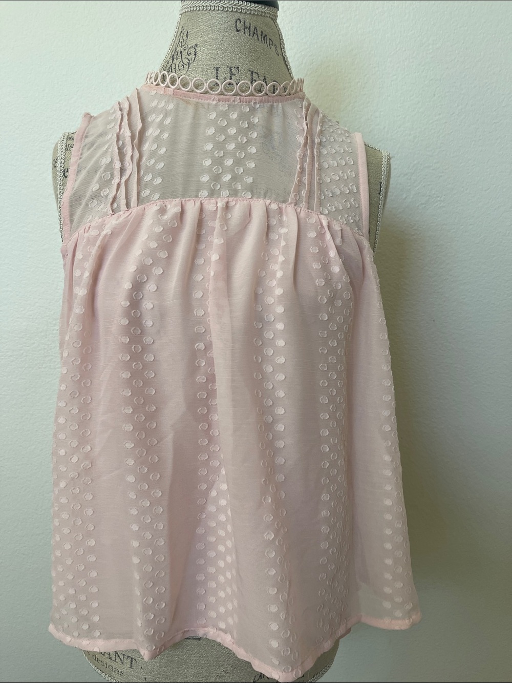 Francesca’s Mi Ami Blush 💕 Pink Sheer Swiss Dot Sleeveless Top ~ Medium NWT